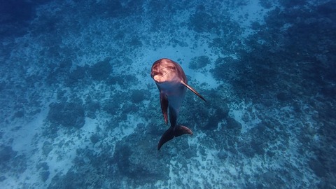 2025-07-12_11-36-23_564