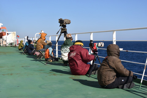 20201115_112342_百里大苫_DSC_0149