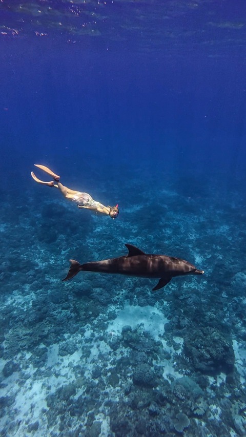 2025-07-12_11-36-21_954