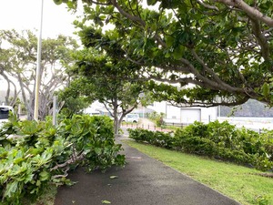 IMG_0441