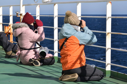 20201115_105447_百里大苫_DSC_0141