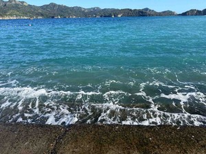 IMG_4218