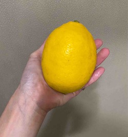 FullSizeRender