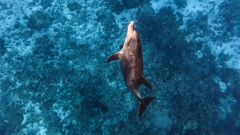 2025-07-12_11-36-22_886