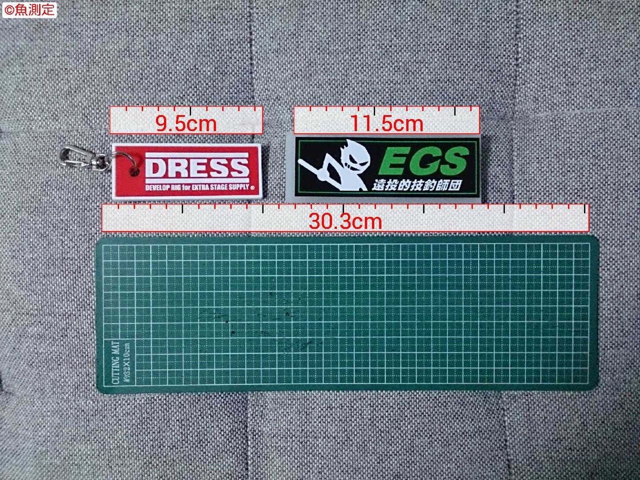 魚サイズ測定アプリ その２ Egs 遠投的技釣師団