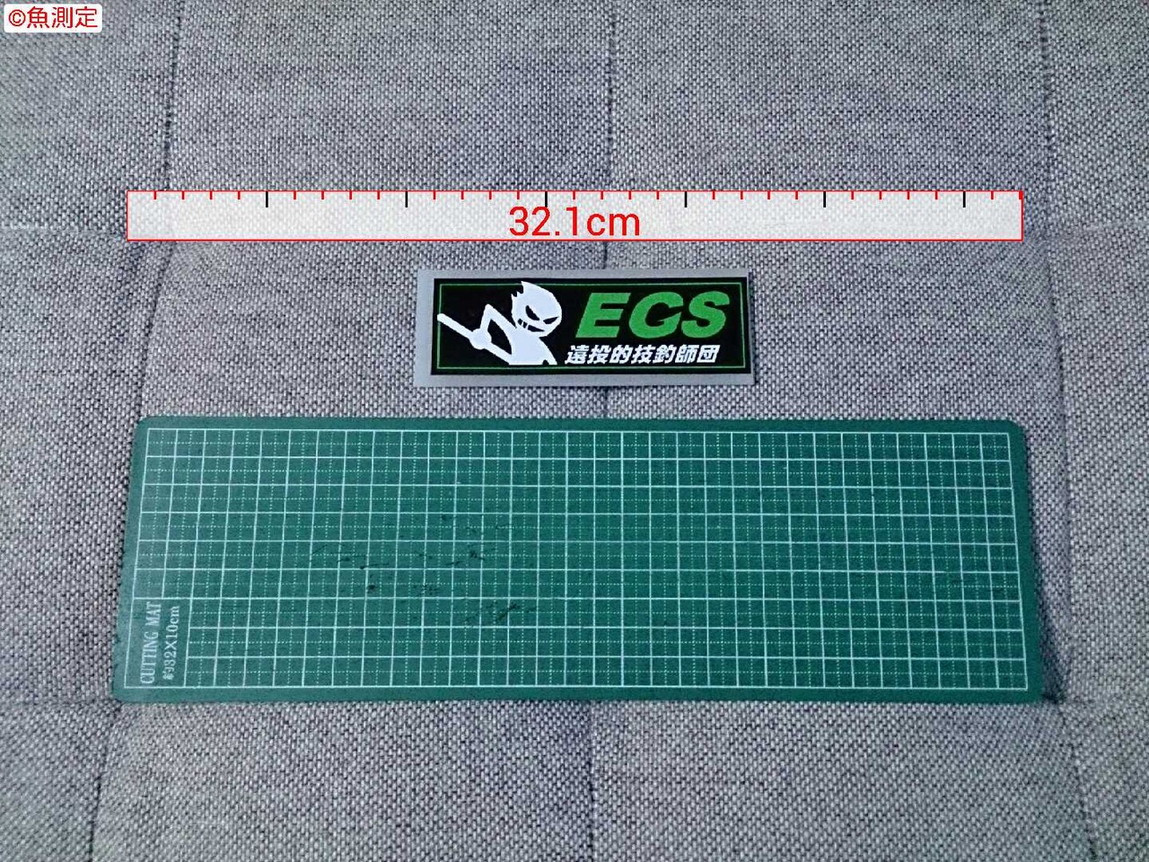 魚サイズ測定アプリ その２ Egs 遠投的技釣師団