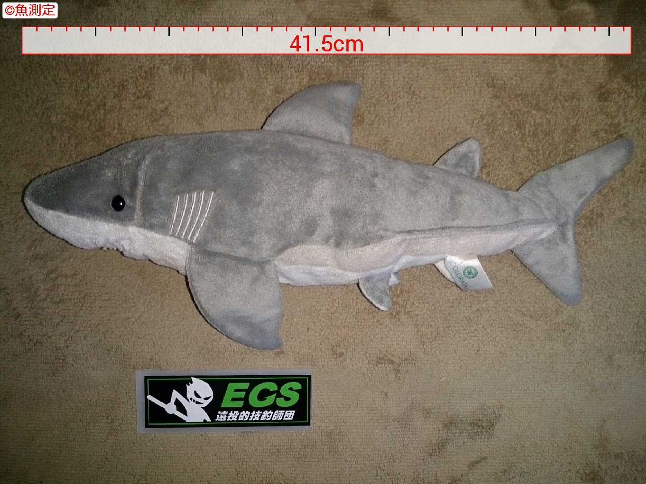 魚サイズ測定アプリ Egs 遠投的技釣師団