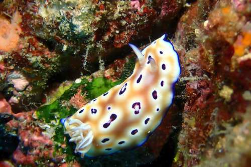 P9110410