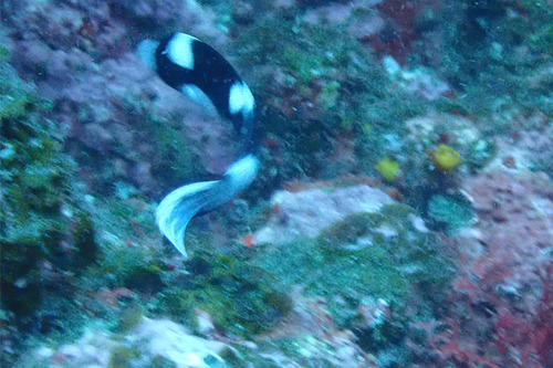 P9110190