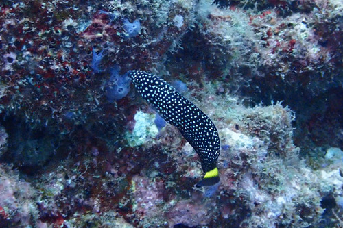 P9110249