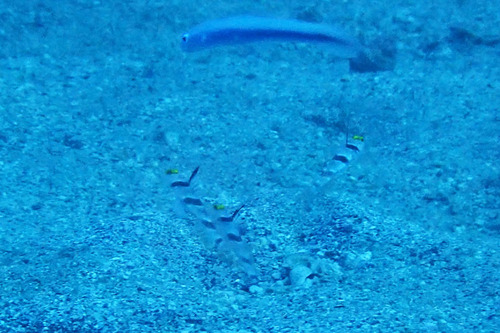 11200725