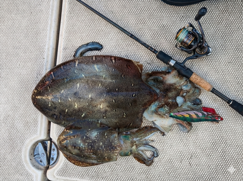 Gemini_Generated_Image_fxc6nkfxc6nkfxc6