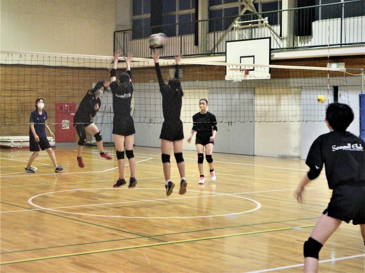 力いっぱいスパイクを打つのは かっこいい シーガル バレーボールスクールのblog
