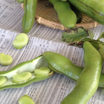 ����Ʀ