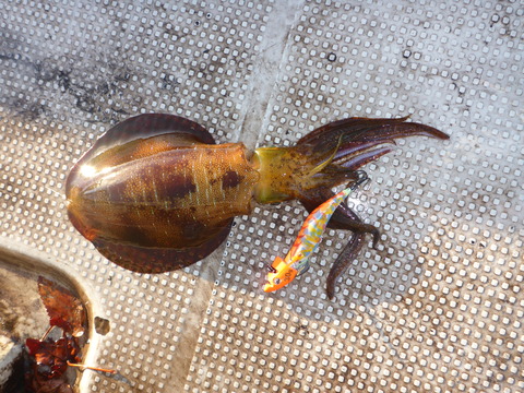 P1030721