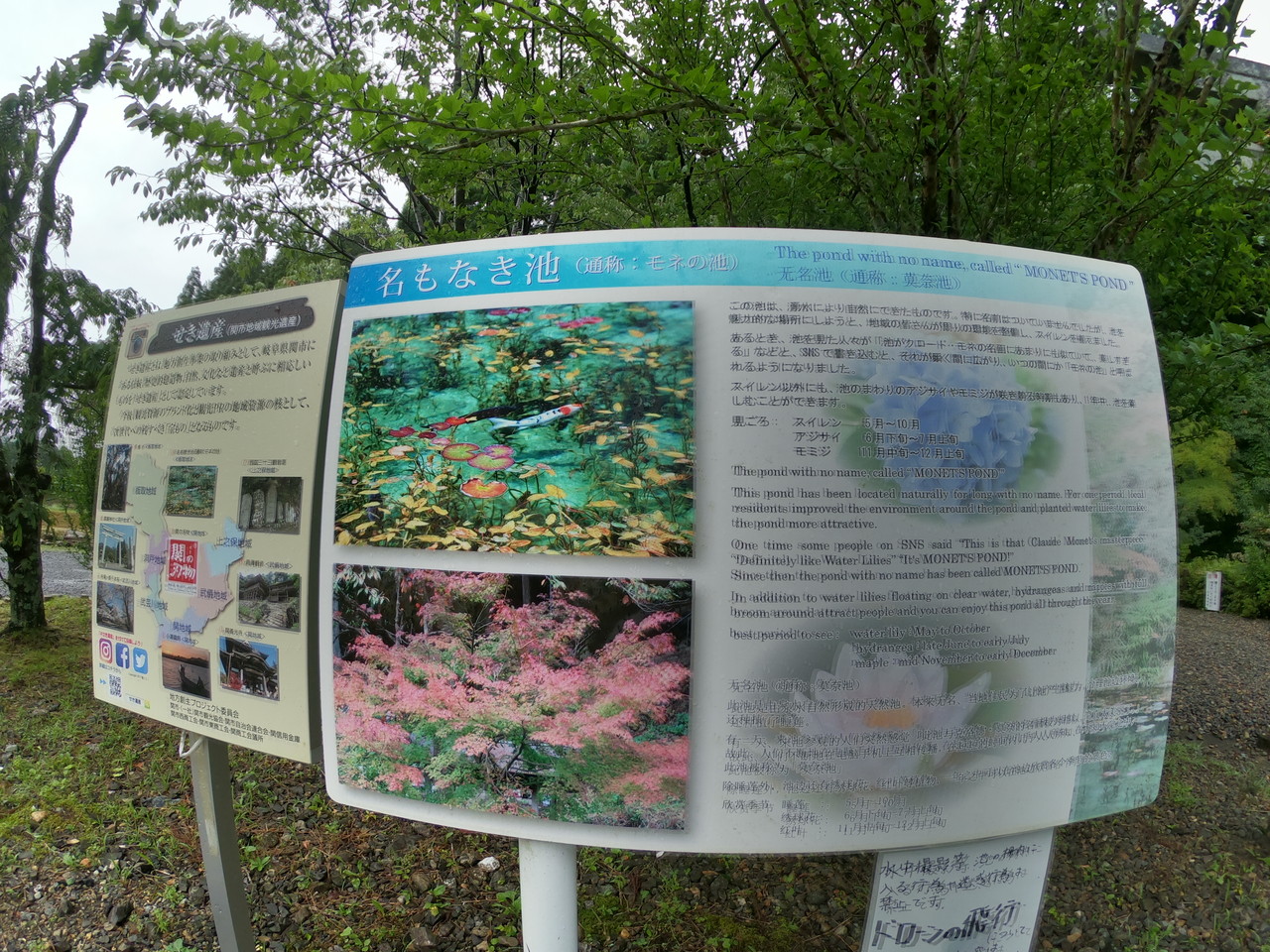 モネの池 関市板取名名も無き池 関市の名所 関市人の足跡日記 モネの池 関市板取名名も無き池 関市の名所 関市人の足跡日記
