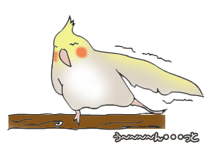 アリバイ オカメクインテット