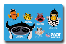 Padi Cカードデザイン特集 沖縄ダイビング うみ日記 沖縄 ダイビング