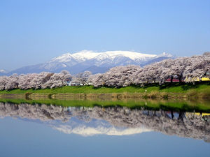 蔵王山