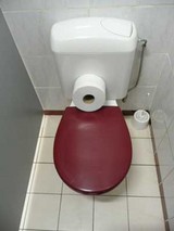 toilet