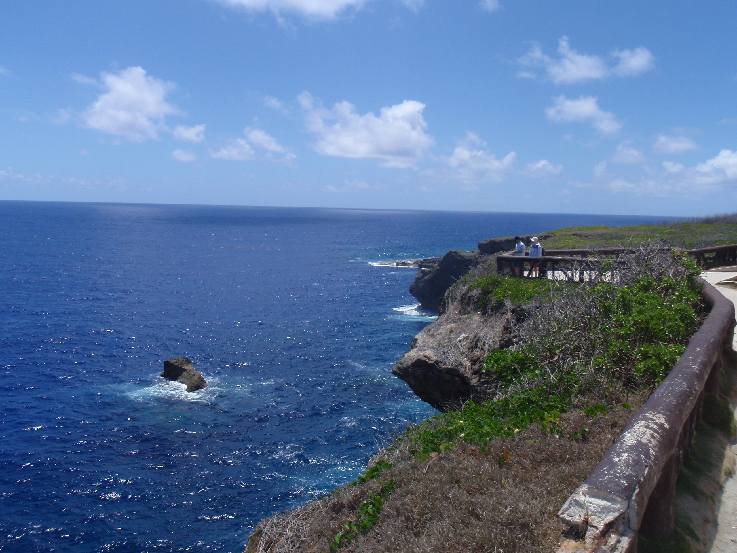 バンザイクリフ ｓｅａｓｈｏｒｅ ｂｌｏｇ