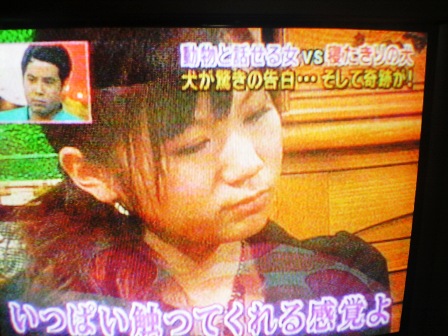 天才 志村どうぶつ園 動物と話せる女性ハイジ All About Learn
