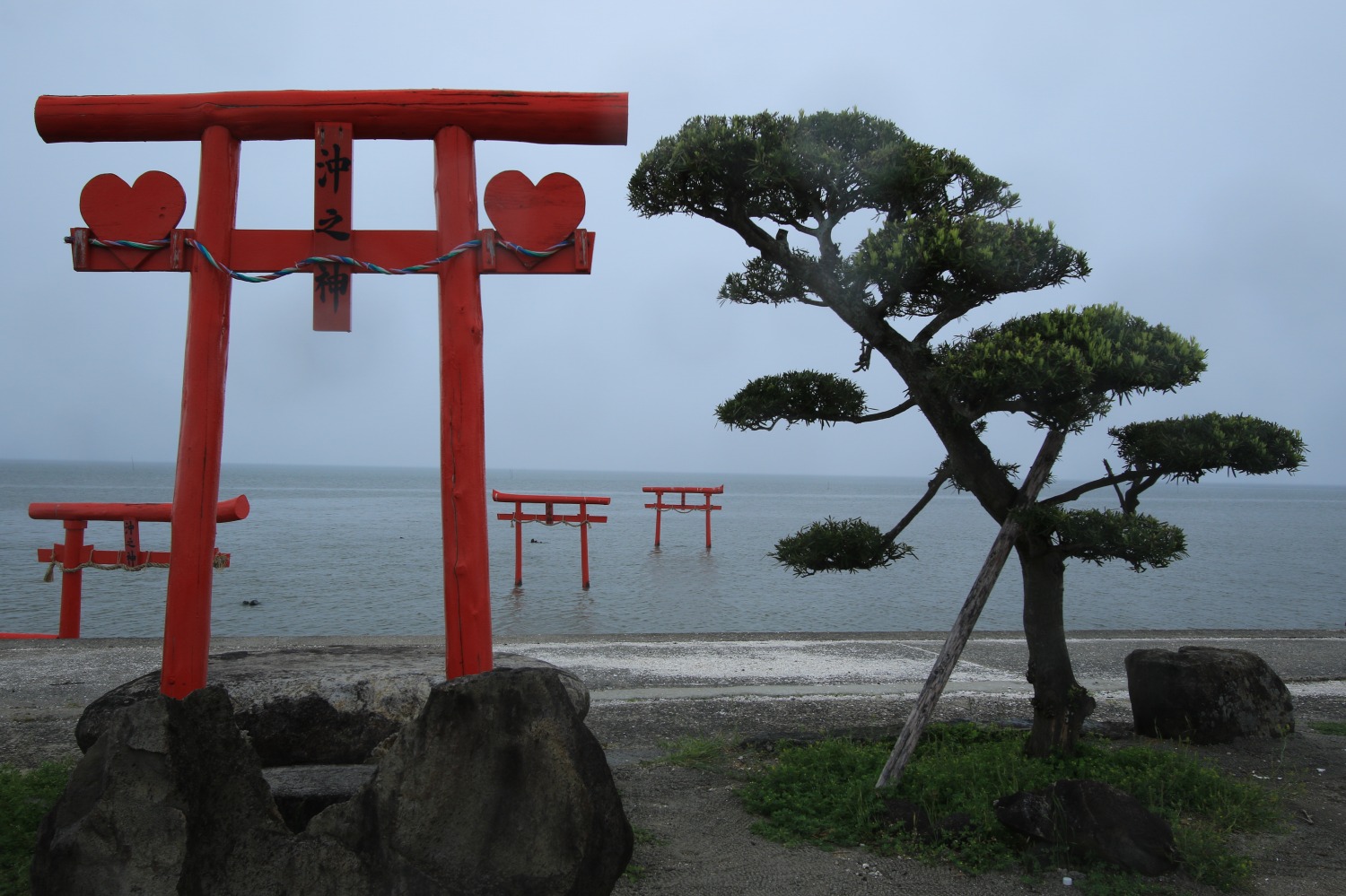 大魚神社の海中鳥居 : ALL ABOUT LEARN