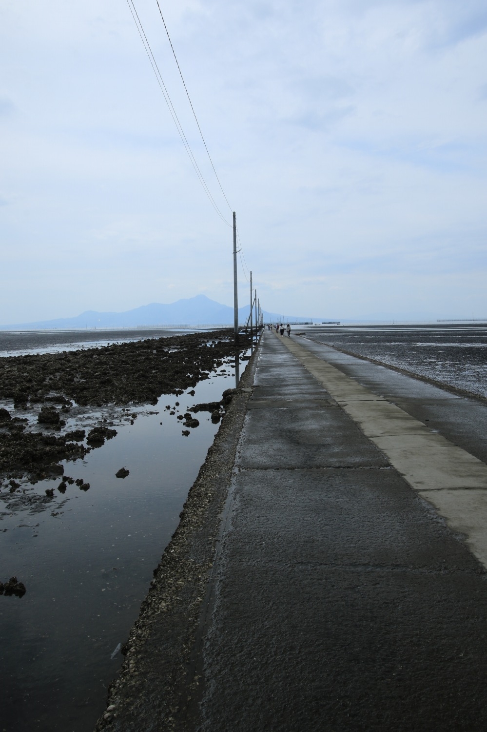 ネーチャー(熊本県) : ALL ABOUT LEARN