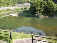 DSCN6220