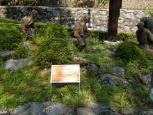 DSCN5954