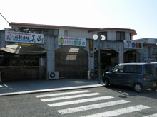 DSCN5328