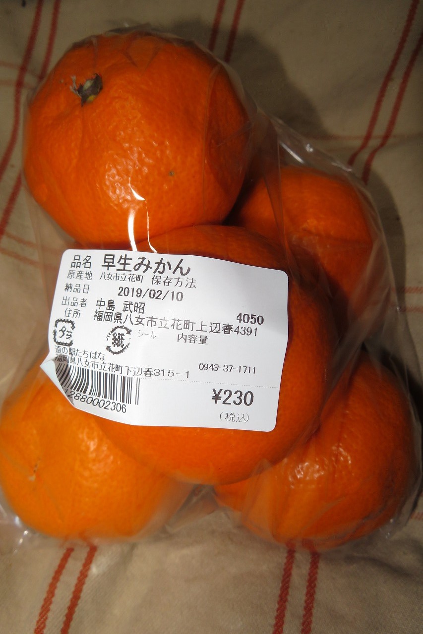 早生みかん 道の駅たちばな All About Learn 早生みかん 道の駅たちばな All About Learn