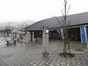 IMG_2959