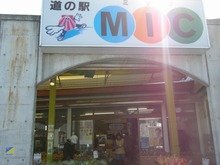DSCN5331