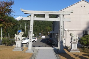 IMG_1115