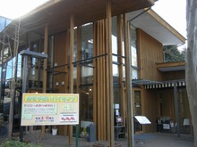 DSCN5355
