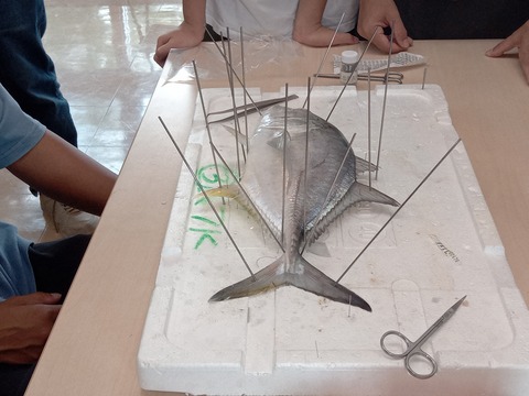 IMG_20231015_114128_241