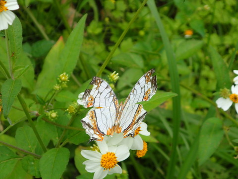 P5050187