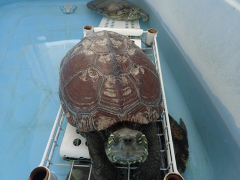 P9220979