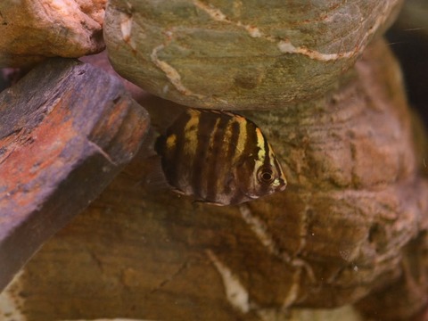 552172115_18074874863113782_3704517548566853354_n