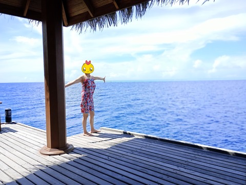 IMG_20240516_101230_PORTRAIT