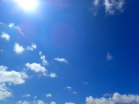 P8301069