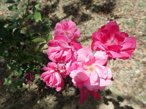 P3130855