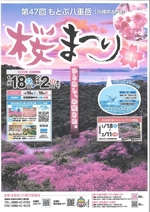 MX-2661_20241115_134114-2-pdf-724x1024