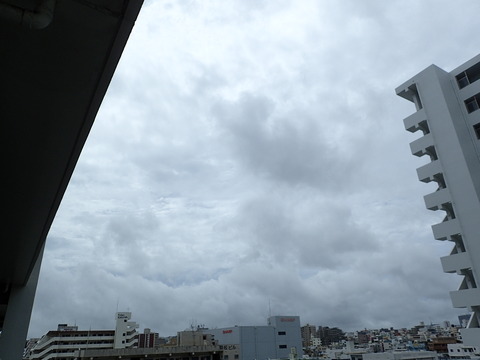 P6100098