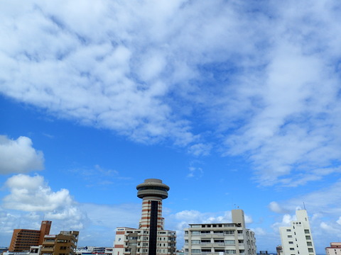 P4250055