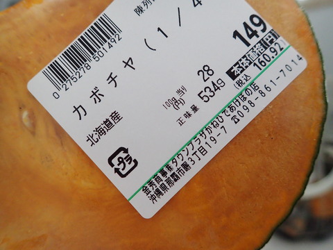 P9050028