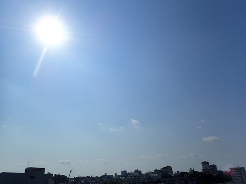 P3060101