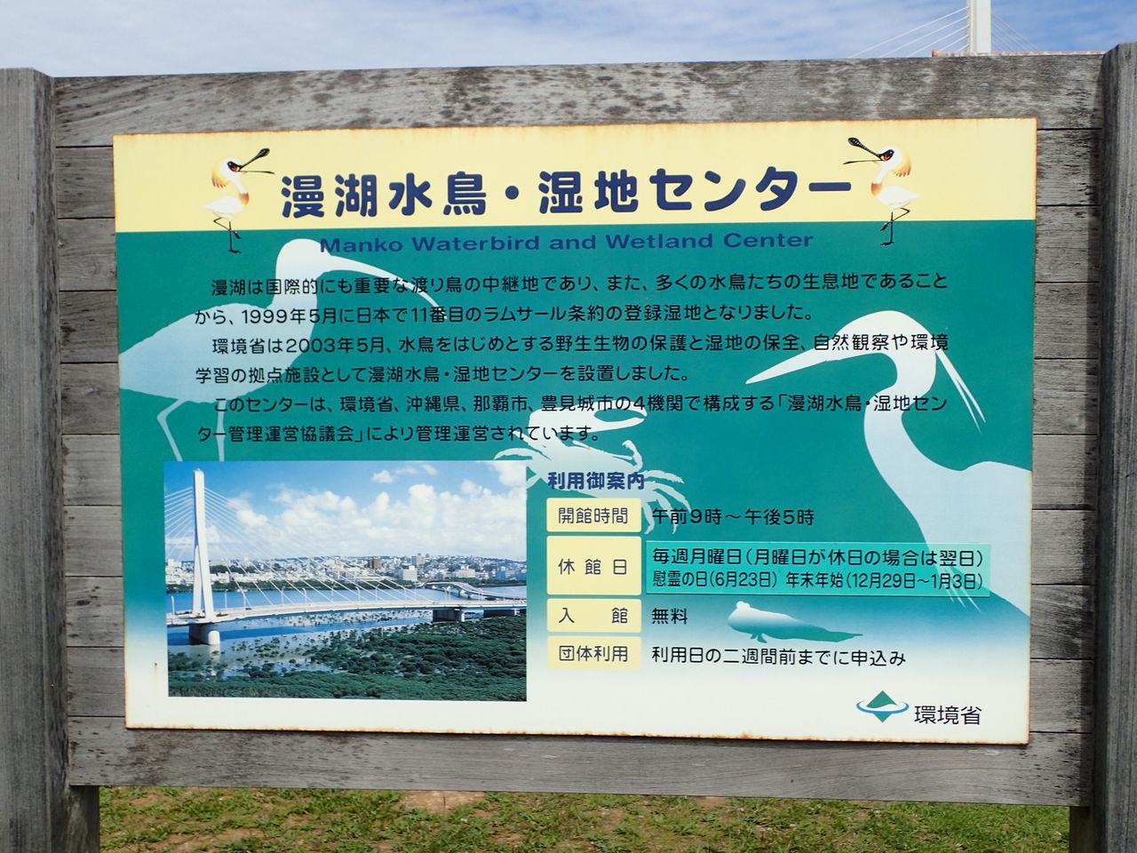 野鳥観察もね 漫湖公園 ２ ６０歳からの沖縄生活 With N