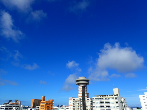 P7030118